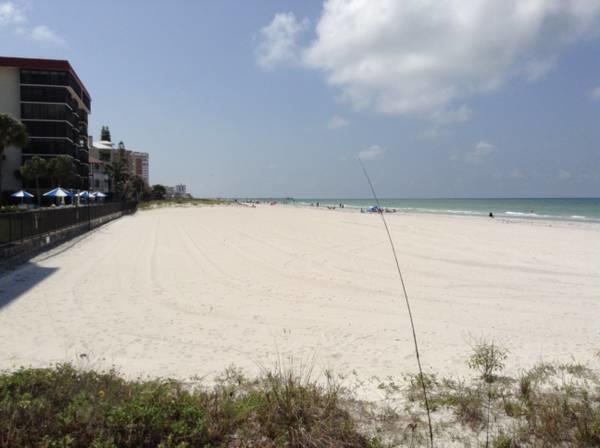 קלירווטר ביץ' Belleview Gulf Condos מראה חיצוני תמונה